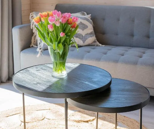 Nad Morzem Saint Vakantiehuis Wicie (West Pomeranian)